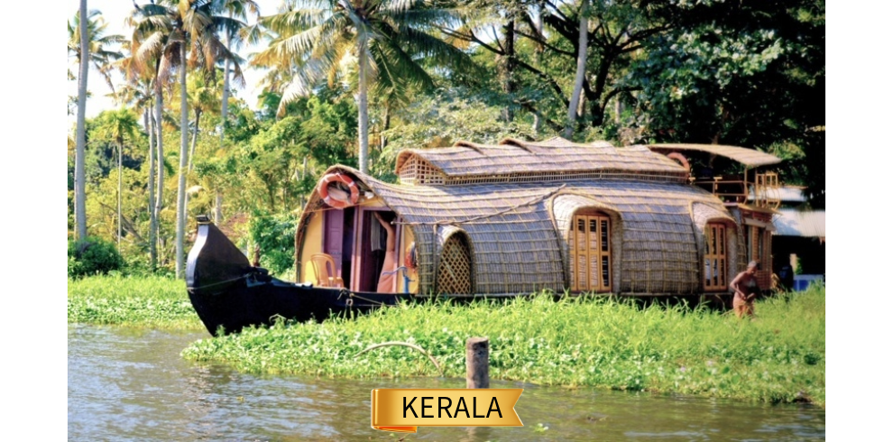 Encanto del Sur (Kerala – Munnar – Alleppey)